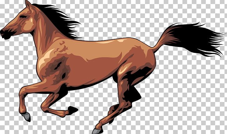 Horse PNG, Clipart, Animals, Colt, Encapsulated Postscript, Fictional Character, Foal Free PNG Download