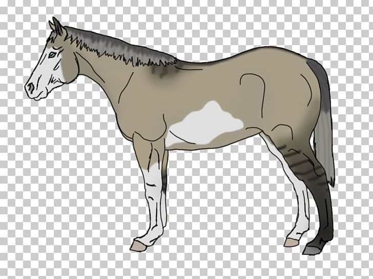 Mule Foal Stallion Mare Rein PNG, Clipart, Animal Figure, Bridle, Colt, Donkey, Foal Free PNG Download