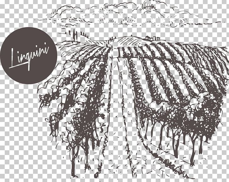 Burgundy Wine To Burgundy And Back Again: A Tale Of Wine PNG, Clipart, Black And White, Branch, Butter, Food, Grape Free PNG Download