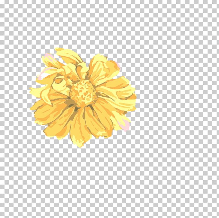 Chrysanthemum Yellow Petal Jewellery Human Body PNG, Clipart, Body Jewelry, Chrysanths, Daisy Family, Effect, Flower Free PNG Download