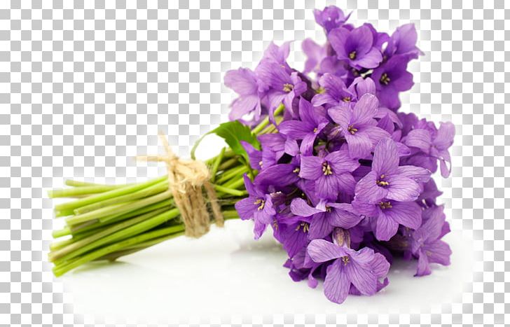 Flower Bouquet English Lavender Violet Cut Flowers PNG, Clipart, Branch, Bride, Cut Flowers, Depositphotos, English Lavender Free PNG Download