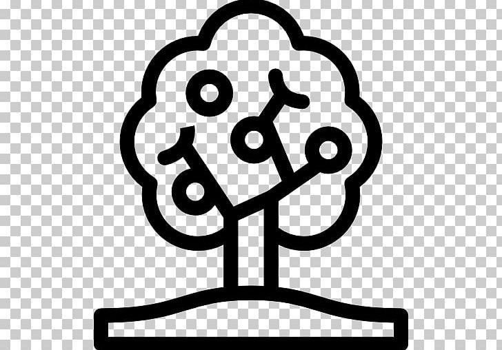 Fruit Tree Computer Icons Apple PNG, Clipart, Apple, Area, Black And White, Computer Icons, Download Free PNG Download