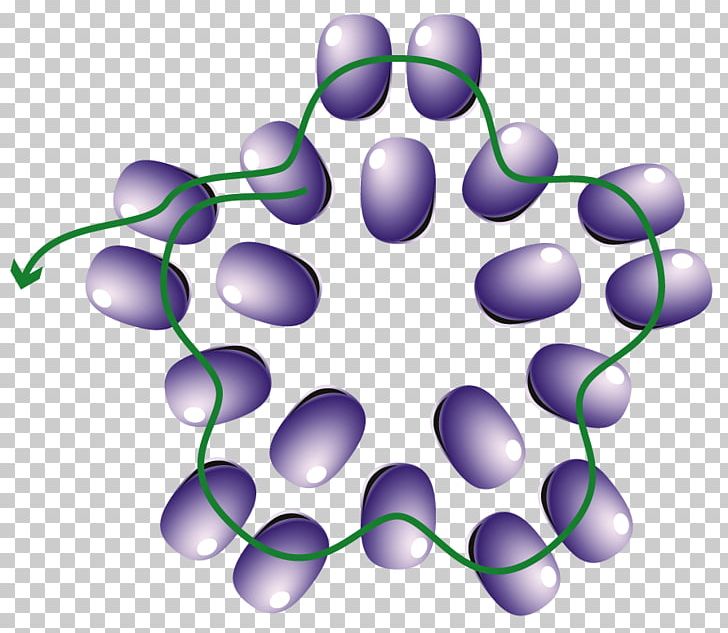 Grape PNG, Clipart, Circle, Fruit Nut, Grape, Grapevine Family, Nori Free PNG Download