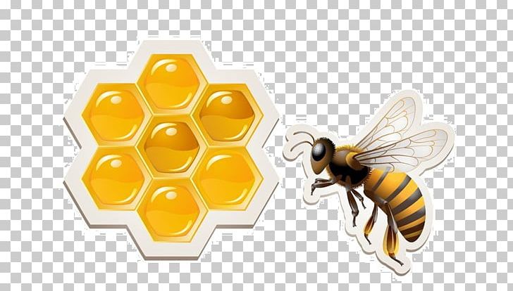 Western Honey Bee Honeycomb PNG, Clipart, Arthropod, Bee, Beehive, Beekeeping, Bumblebee Free PNG Download