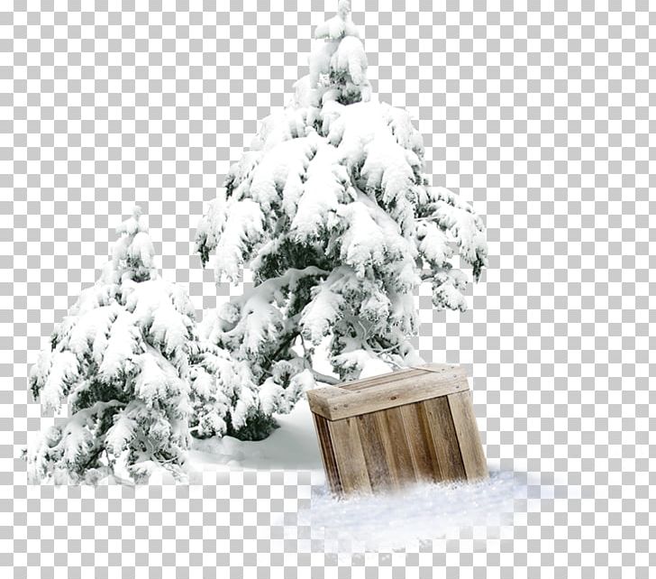 Winter Snow Tree Forest PNG, Clipart, Cardboard Box, Christmas, Christmas Decoration, Christmas Ornament, Christmas Tree Free PNG Download