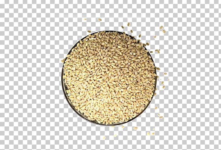 Barley Cereal Germ Rice PNG, Clipart, Barleycorn, Barley Farm, Barley Flour, Barley Splash, Barley Water Color Free PNG Download
