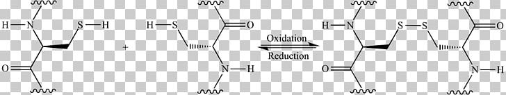 Biuret Protein Peptide Bond Chemical Reaction PNG, Clipart, Amino Acid, Angle, Biochemistry, Biuret, Black And White Free PNG Download