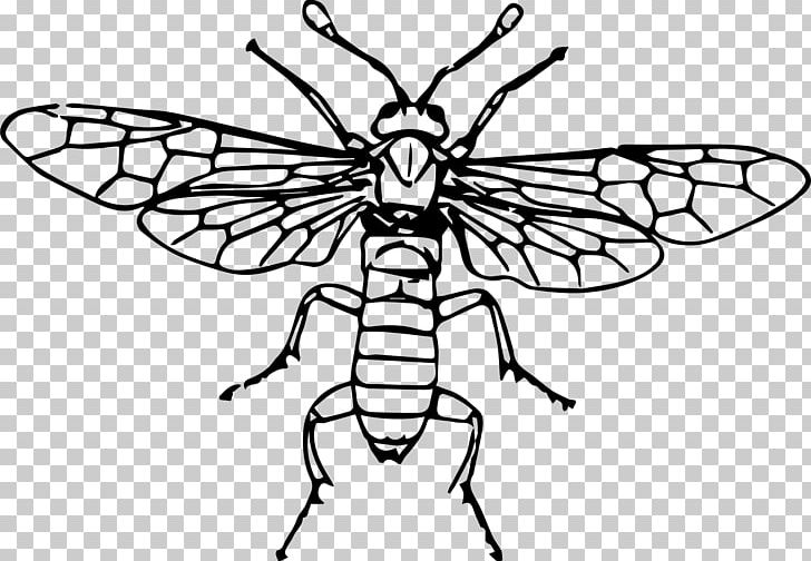 Fly Insect Sawflies PNG, Clipart, Animal, Artwork, Black And White, Bug, Coping Saw Free PNG Download