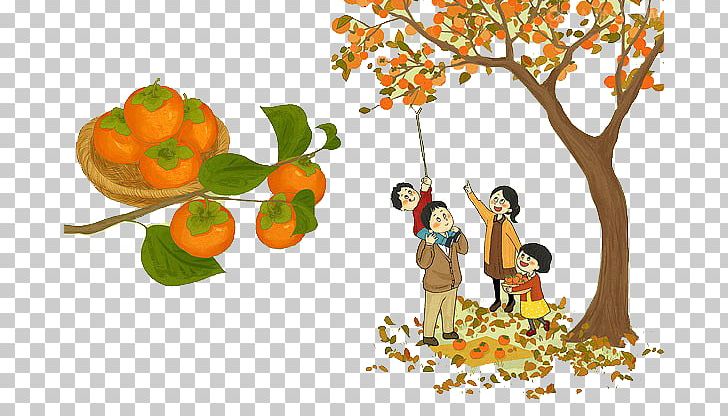 Japanese Persimmon PNG, Clipart, Buckle, Cartoon, Download, Families, Family Free PNG Download