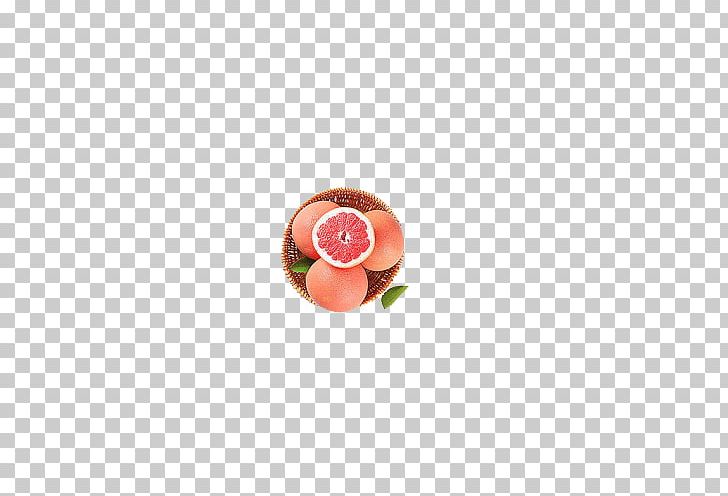Circle Fruit Pattern PNG, Clipart, Circle, Fruit, Fruit Nut, Grapefruit, Grapefruit Blossom Free PNG Download