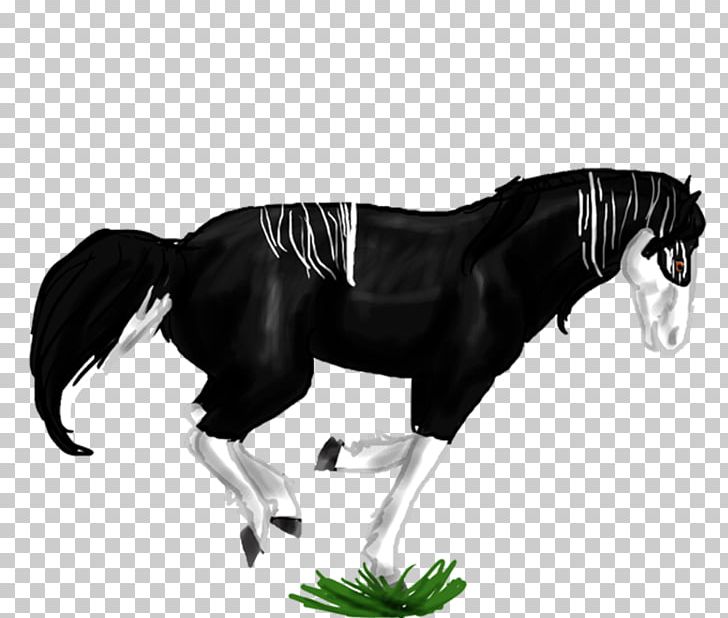 Mane Mustang Stallion Pony Mare PNG, Clipart, Assasin, Bit, Black And White, Bridle, Character Free PNG Download