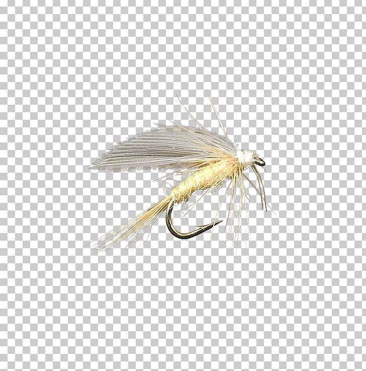 Artificial Fly Insect Fly Fishing Isonychia PNG, Clipart, Artificial Fly, Drake, Dun, Feather, Fishing Bait Free PNG Download