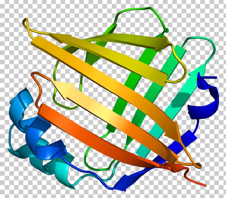FABP5 Fatty Acid-binding Protein Anandamide PNG, Clipart, Acid, Anandamide, Area, B 56, Bind Free PNG Download
