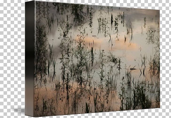Painting Gallery Wrap Wood Tree Canvas PNG, Clipart, Art, Canvas, Gallery Wrap, Lawn, M083vt Free PNG Download