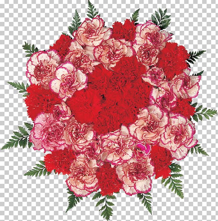 Carnation Flower Bouquet Garden Roses PNG, Clipart, Carnation, Christmas Decoration, Christmas Ornament, Cut Flowers, Decor Free PNG Download