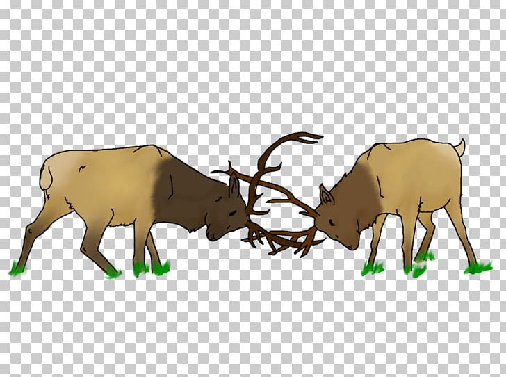 Elk Deer Drawing Antler PNG, Clipart, Animal, Animal Figure, Animals, Antler, Art Free PNG Download