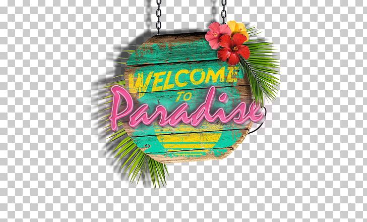 Welcome To Paradise Song English Information PNG, Clipart, Christmas Ornament, Computer Servers, English, I Ll, Information Free PNG Download