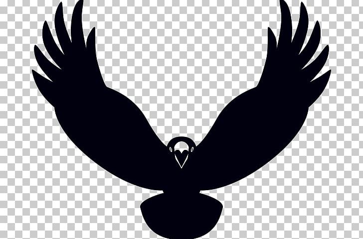Eagle Beak Black Silhouette PNG, Clipart, Animals, Beak, Beer, Beer Logo, Bird Free PNG Download