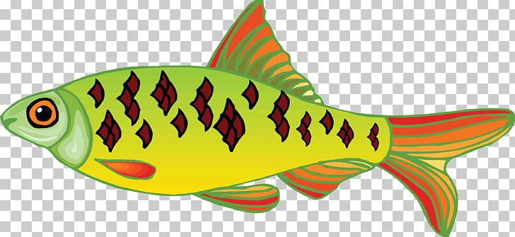 Fish PNG, Clipart, Animals, Aquarium, Bilder, Bony Fish, Desktop Wallpaper Free PNG Download