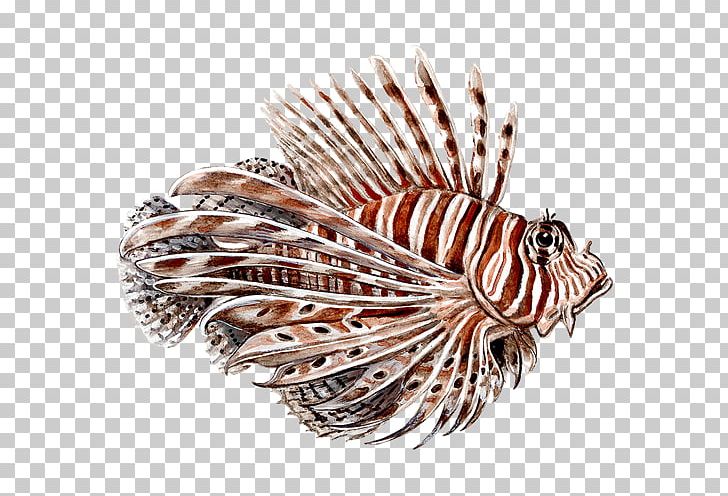 Red Lionfish Spotfin Lionfish PNG, Clipart, Biodiversity, Coral Reef Fish, Fish, Genus, Invasive Species Free PNG Download