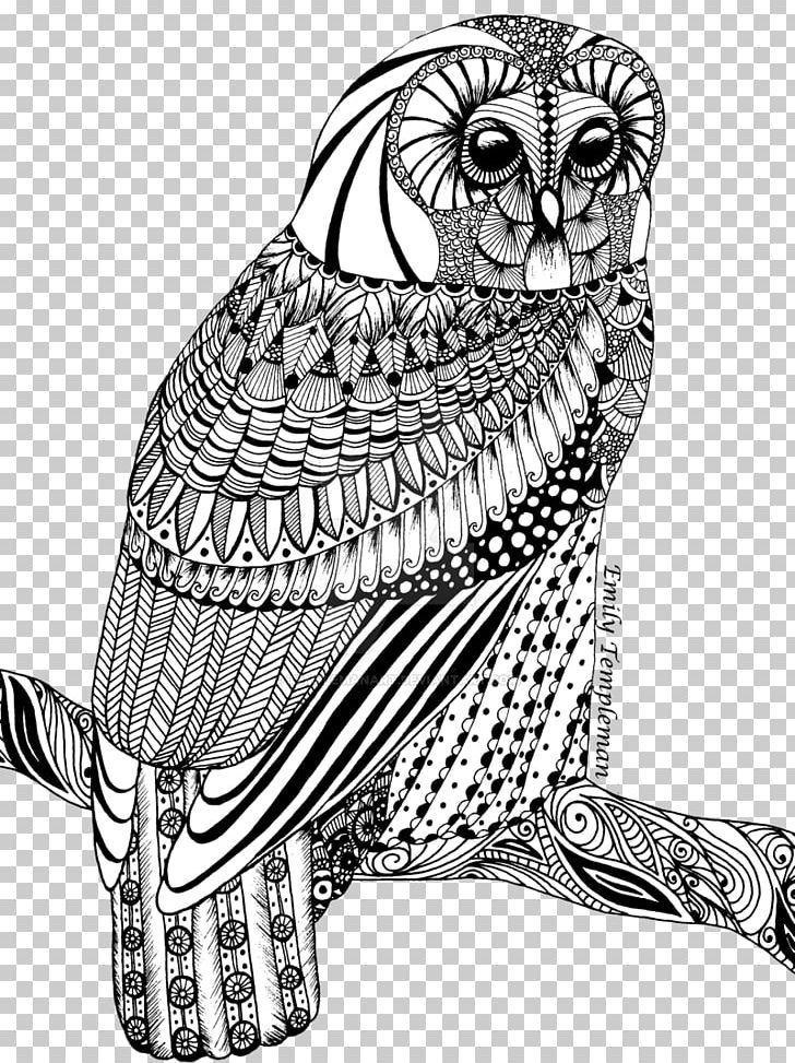 Tawny Owl Drawing Line Art PNG, Clipart, Animals, Art, Beak, Bird, Bird Of Prey Free PNG Download