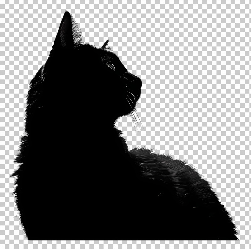 Cat Silhouette - Silhouette Of A Black Cat PNG