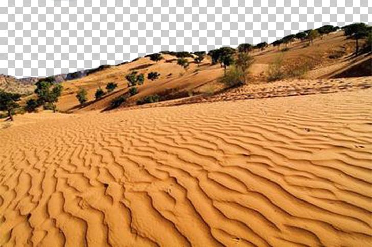 Erg Desert Sand Euclidean PNG, Clipart, Aeolian Landform, Borderline Personality Disorder, Desert, Deserts, Dune Free PNG Download