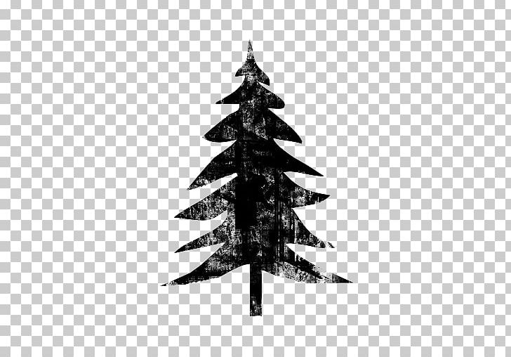 Spruce Fir Computer Icons Tree Symbol PNG, Clipart, Black And White, Christmas, Christmas Decoration, Christmas Ornament, Christmas Tree Free PNG Download