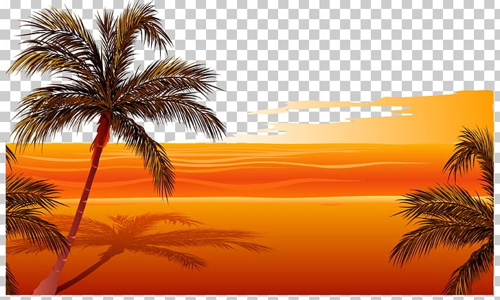Beach Sunset Drawing PNG, Clipart, Arecales, Beach, Beach, Beach Party, Beach Vector Free PNG Download