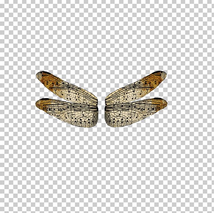 Insect Wing Photography Drawing PNG, Clipart, Art, Computer Icons, Devi, Dragonfly, Drawing Free PNG Download