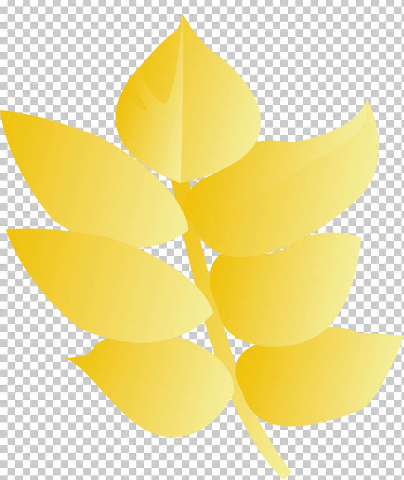 Yellow Leaf Plant Flower PNG, Clipart, Flower, Leaf, Plant, Yellow Free PNG Download