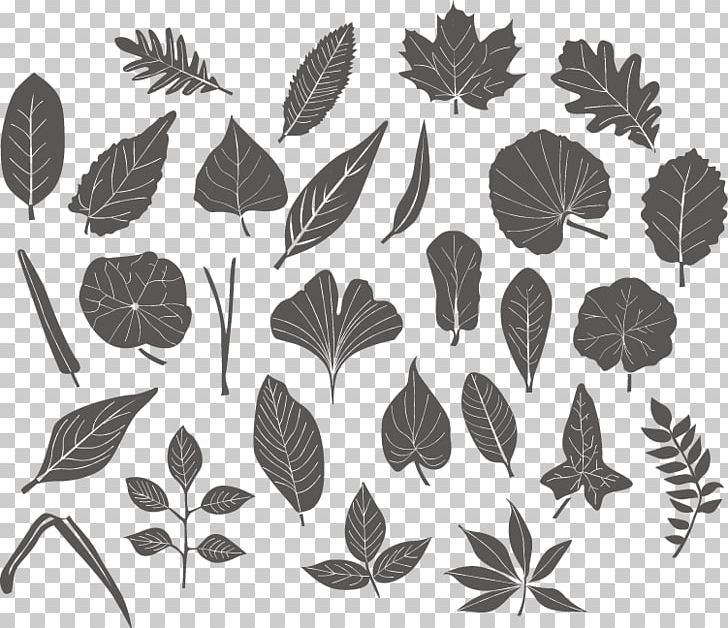 Leaf PNG, Clipart, Autumn Leaf, Autumn Leaf Color, Branch, Design, Download Free PNG Download