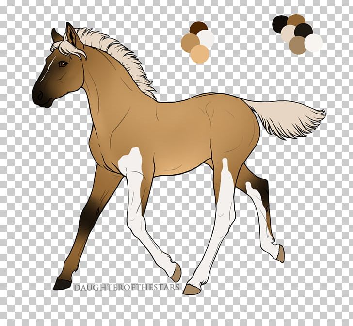 Mule Foal Stallion Colt Mare PNG, Clipart, Animal Figure, Bridle, Colt, Drawing, Equestrian Vaulting Free PNG Download