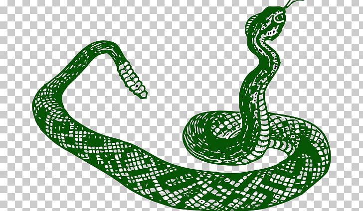 Rattlesnake Vipers PNG, Clipart, Animal Figure, Boa Constrictor, Boas, Crotalus Cerastes, Line Free PNG Download