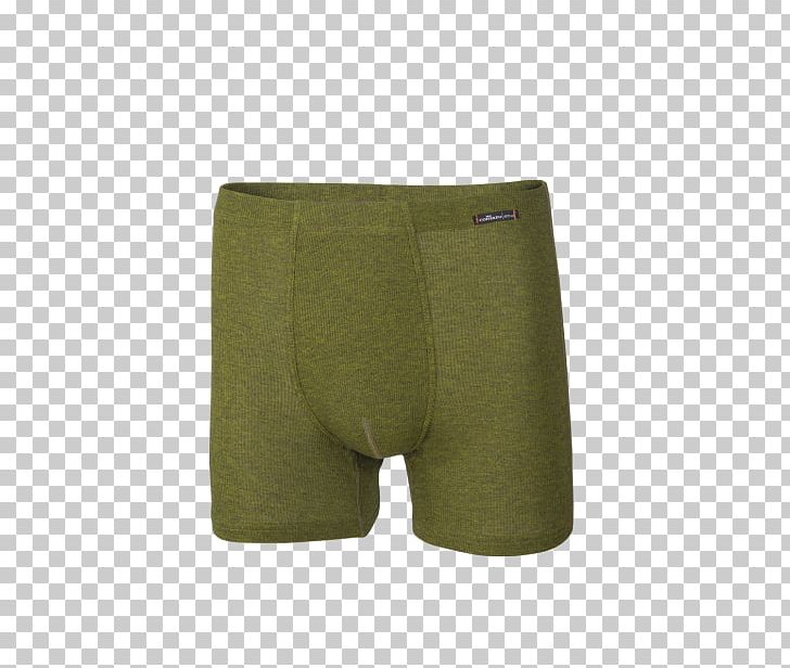 Swim Briefs Trunks Underpants Shorts PNG, Clipart, Active Shorts, Active Undergarment, Briefs, Green, Khaki Free PNG Download