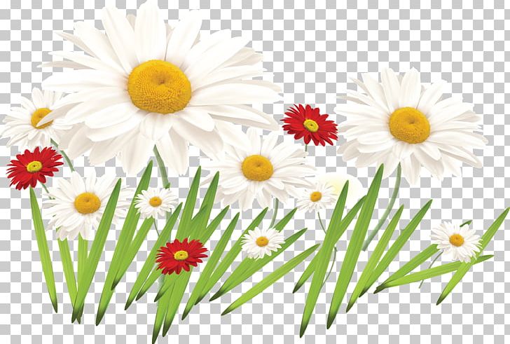 Flower Of The Fields Drawing Painting Flower Bouquet PNG, Clipart, Art, Blue, Camomile, Chamaemelum Nobile, Chrysanths Free PNG Download