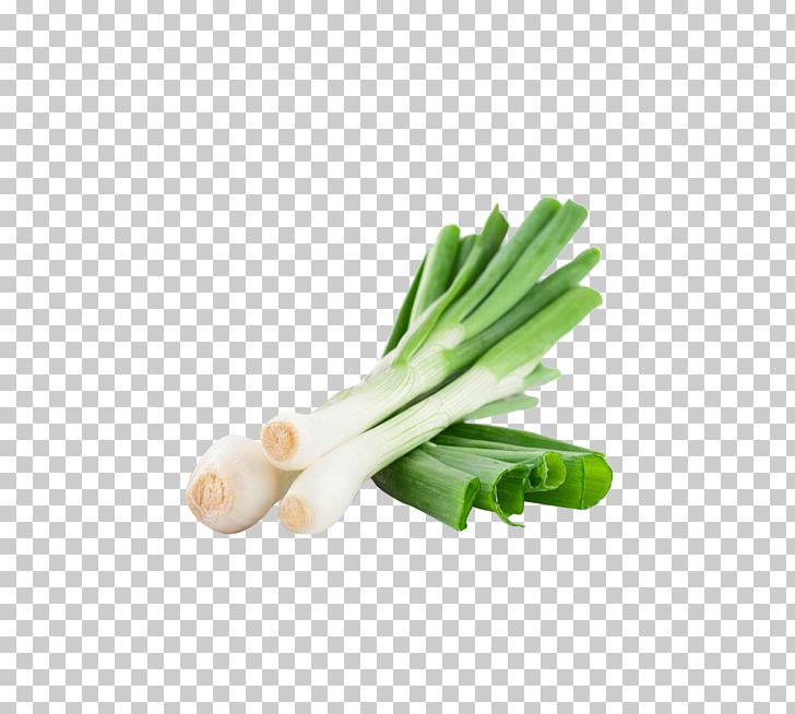 Onion Vegetable Scallion Allium Fistulosum PNG, Clipart, Allium Fistulosum, Background Green, Chives, Download, Food Free PNG Download