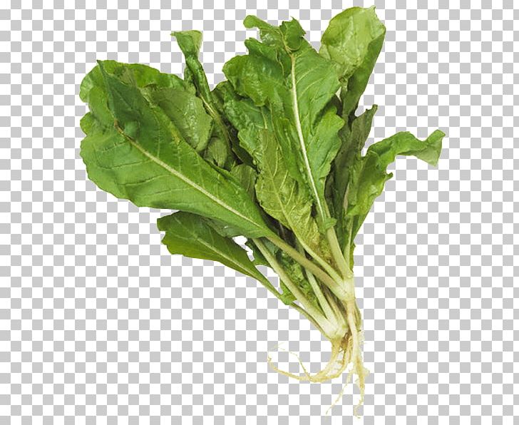 Chard Spinach Arugula Leaf Vegetable PNG, Clipart, Arugula, Chard, Choy Sum, Collard Greens, Coriander Free PNG Download