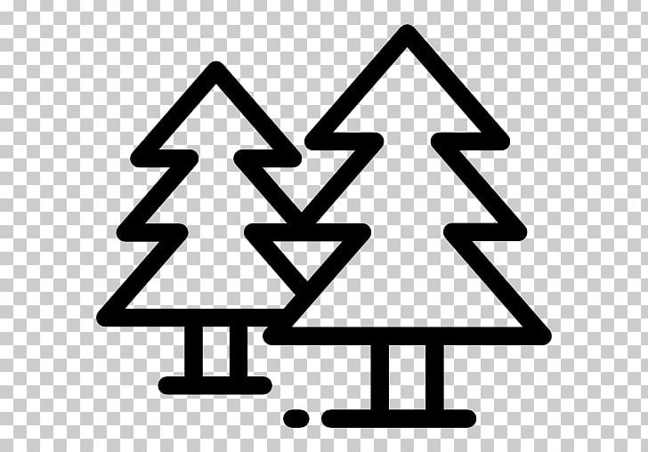 Computer Icons Pine PNG, Clipart, Angle, Area, Black And White, Computer Icons, Fir Free PNG Download