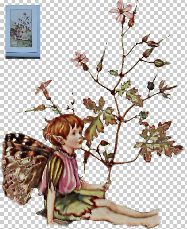 Fairy The Book Of The Flower Fairies Flower Fairies Of The Wayside Cottingley Fairies PNG, Clipart, Artist, Branch, Cicely Mary Barker, Cottingley Fairies, Dra Free PNG Download