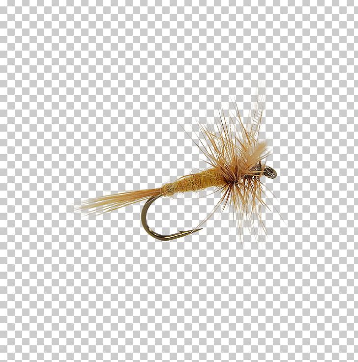 Insect Artificial Fly PNG, Clipart, Andy, Animals, Artificial Fly, Dun, Fishing Bait Free PNG Download
