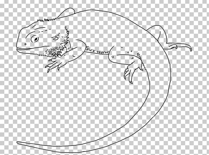 Lizard Drawing Central Bearded Dragon Line Art PNG, Clipart, Amphibian, Animal Figure, Animals, Area, Art Free PNG Download
