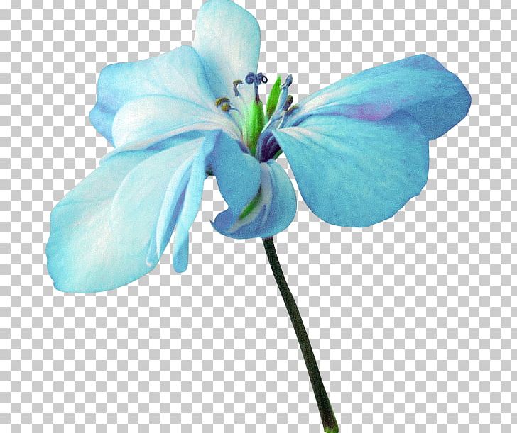 Blue Flower PNG, Clipart, Blue, Cicek, Cicek Resimleri, Color, Cut Flowers Free PNG Download