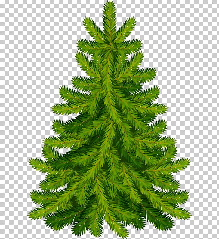 Christmas Tree Fir Pine PNG, Clipart, Artificial Christmas Tree, Biome, Branch, Christmas, Christmas  Free PNG Download