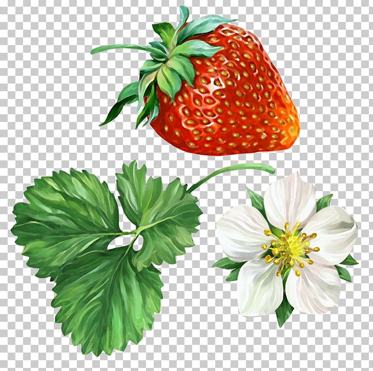 Strawberry PNG, Clipart, Cdr, Computer Icons, Encapsulated Postscript, Food, Fragaria Free PNG Download