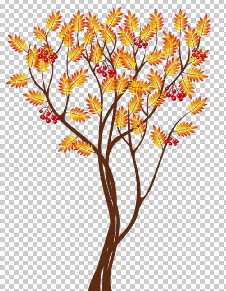 Autumn Tree Desktop PNG, Clipart, Autumn, Autumn Leaf Color, Branch, Cut Flowers, Desktop Wallpaper Free PNG Download