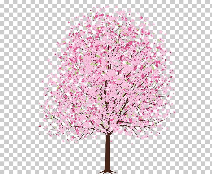 Cherry Blossom PNG, Clipart, Apples, Blossom, Branch, Cherry, Cherry Blossom Free PNG Download