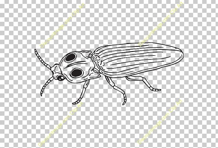 Beetle Weevil Butterfly /m/02csf PNG, Clipart, Arthropod, Artwork, Beetle, Black, Black And White Free PNG Download
