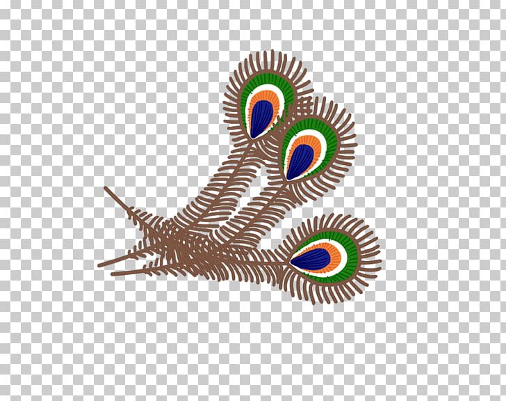 Feather Peafowl Green PNG, Clipart, Animals, Chinese Style, Color, Encapsulated Postscript, Feather Free PNG Download