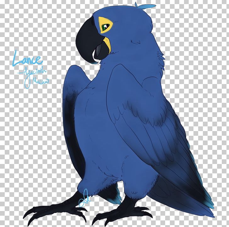 Macaw Parakeet Beak Cobalt Blue Feather PNG, Clipart, Animals, Beak, Bird, Blue, Cobalt Free PNG Download
